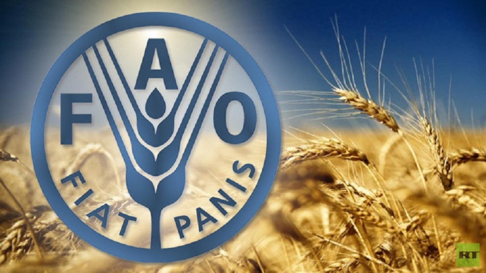 FAO: Uganda has the potential to be the world's food basket