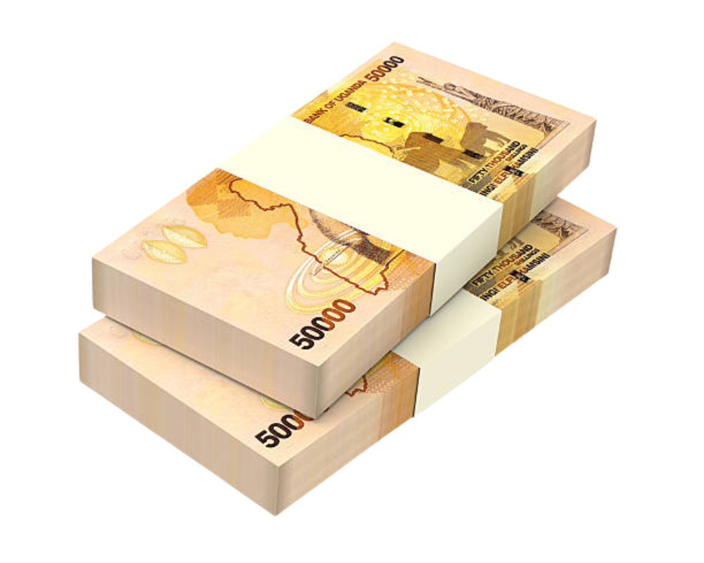 وزير الخزانة يكشف عن ملامح الربع الرابع لميزانيةخصصت الحكومة الأوغندية مبلغ 19.79 تريليون شلن