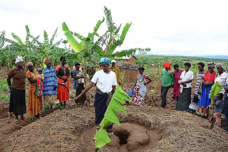 Uganda advances fertilizer and soil health agenda to boost agricultural productivity