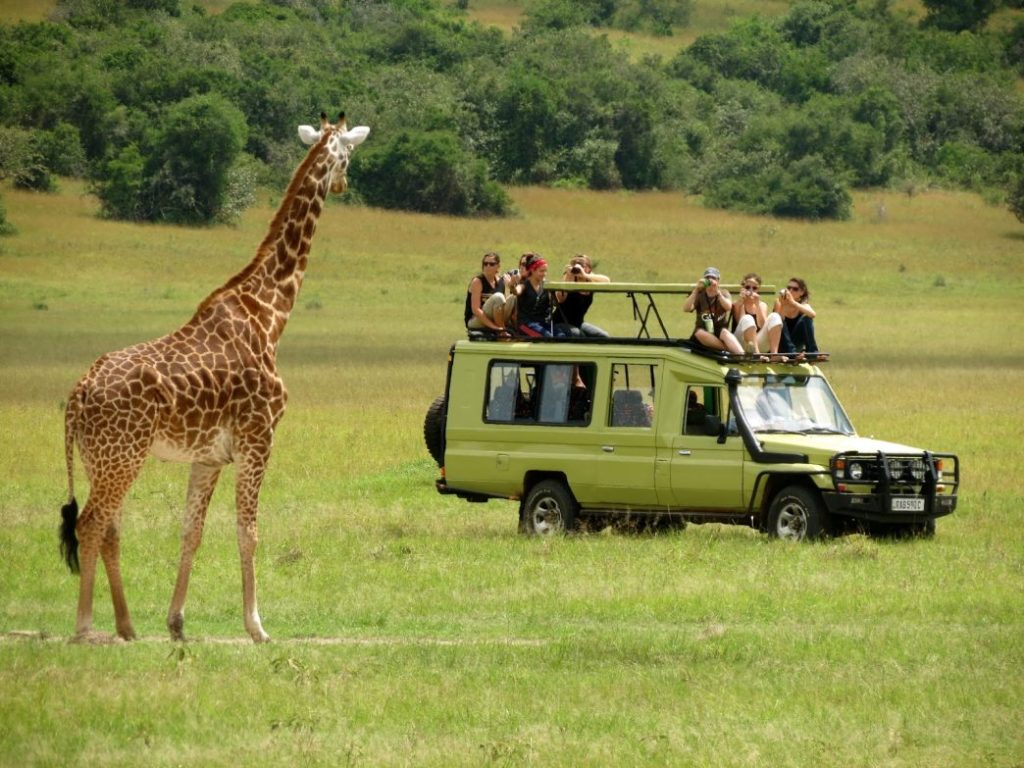 Tanzania Introduces New Code of Conduct for Tour Guides