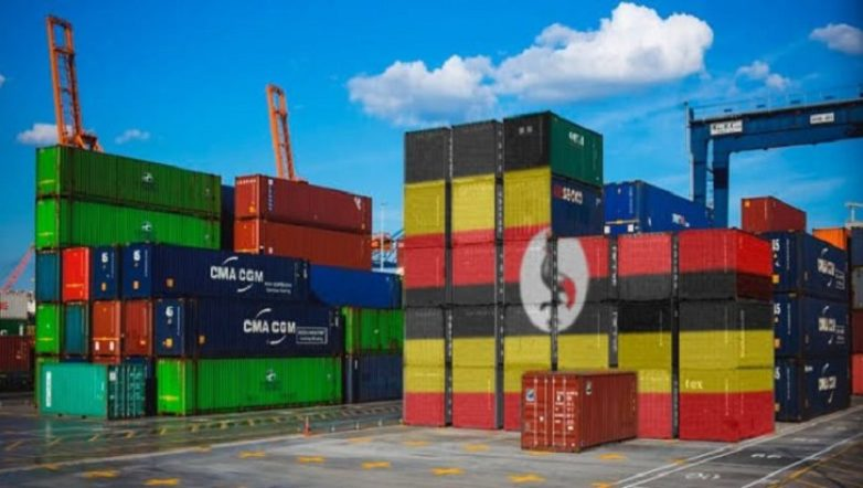 صادرات أوغندا تسجل ارتفاعاً قياسياً مدعومة بـ القهوة والذهب والكاكاو والأسماك