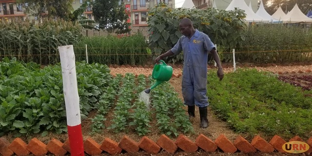 300 exhibitors turn up for Jinja Agricultural Show